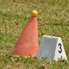(099)Concours attelage.Scaer 6-7 juillet 2019