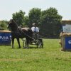 (099)Concours attelage.Scaer 6-7 juillet 2019