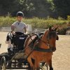 (099)Concours attelage.Scaer 6-7 juillet 2019