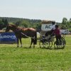 (099)Concours attelage.Scaer 6-7 juillet 2019
