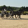 (099)Concours attelage.Scaer 6-7 juillet 2019