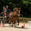 (099)Concours attelage.Scaer 6-7 juillet 2019