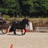 (099)Concours attelage.Scaer 6-7 juillet 2019