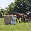 (099)Concours attelage.Scaer 6-7 juillet 2019