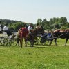 (099)Concours attelage.Scaer 6-7 juillet 2019