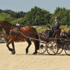 (099)Concours attelage.Scaer 6-7 juillet 2019