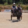 (099)Concours attelage.Scaer 6-7 juillet 2019