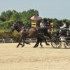 (099)Concours attelage.Scaer 6-7 juillet 2019