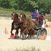 (099)Concours attelage.Scaer 6-7 juillet 2019