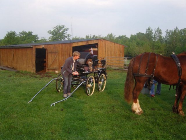 snc13966800x600_20140523_1706584911