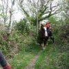 p1210415copier_20140524_1798670873