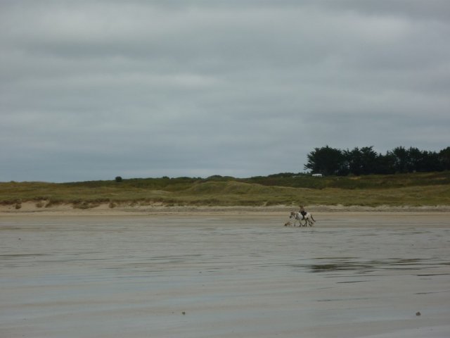 crozon375copier_20140524_1542061646