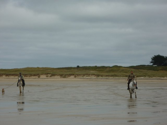 crozon376copier_20140524_2000659010