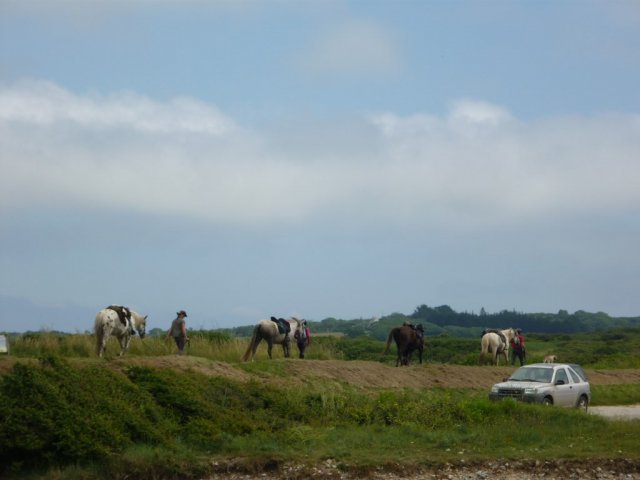 crozon417copier_20140524_1612234624