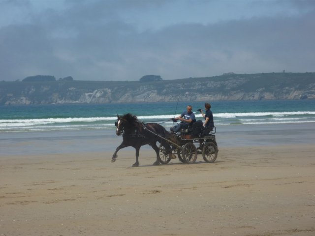 crozon445copier_20140524_1208528325