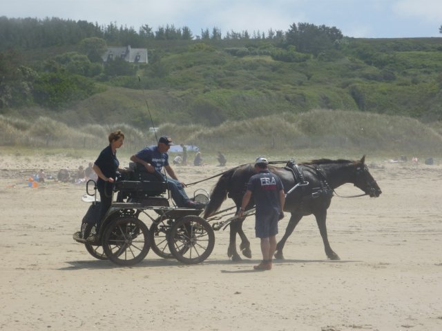 crozon456copier_20140524_1619257704