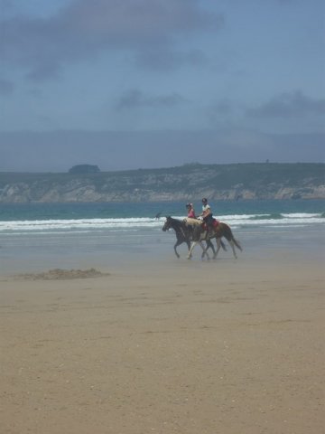 crozon487copier_20140524_1926566149