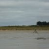 crozon375copier_20140524_1542061646