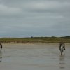 crozon376copier_20140524_2000659010