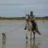 crozon378copier_20140524_1075423358