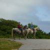 crozon418copier_20140524_1491168990
