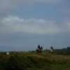 crozon419copier_20140524_1782976095