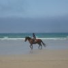 crozon440copier_20140524_1541076094