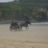crozon446copier_20140524_1823061293