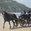 crozon453copier_20140524_1132660949