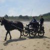 crozon454copier_20140524_1160881506