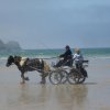 crozon474copier_20140524_1592790160