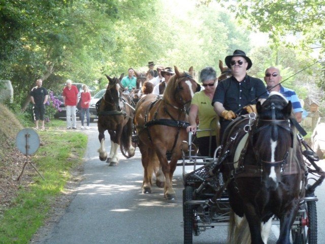 p1110217640x480_20140524_1072029839