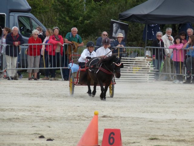 p1250574copier_20140524_1876470842