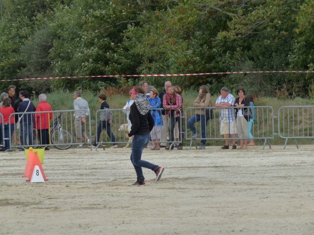 p1250587copier_20140524_1715620234