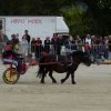 p1250590copier_20140524_1077408626