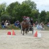 p1250606copier_20140524_1837745840