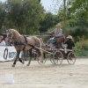 p1250610copier_20140524_2046308193