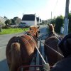 p1040998copier_20140524_1837871580