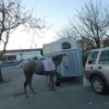 p1050052copier_20140524_1445951504