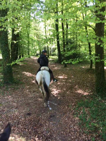 081 Rando Bannalec le 23 avril 2017