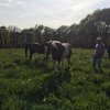 081 Rando Bannalec le 23 avril 2017