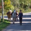 081 Rando Bannalec le 23 avril 2017
