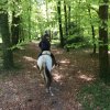 081 Rando Bannalec le 23 avril 2017