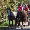 081 Rando Bannalec le 23 avril 2017