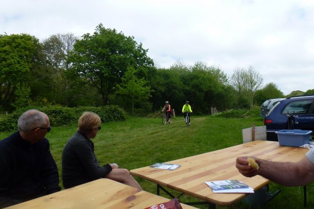(065)Rando Combrit 2015