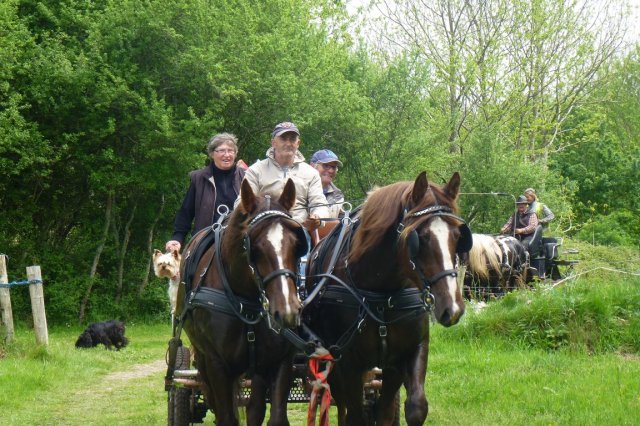 (065)Rando Combrit 2015