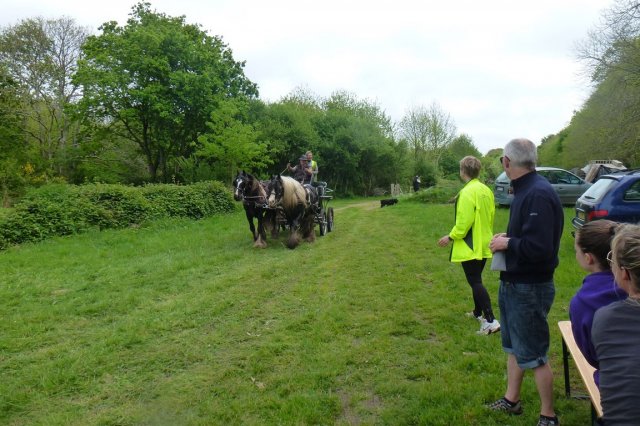 (065)Rando Combrit 2015