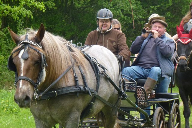 (065)Rando Combrit 2015