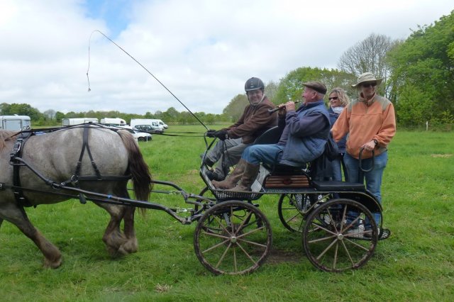 (065)Rando Combrit 2015