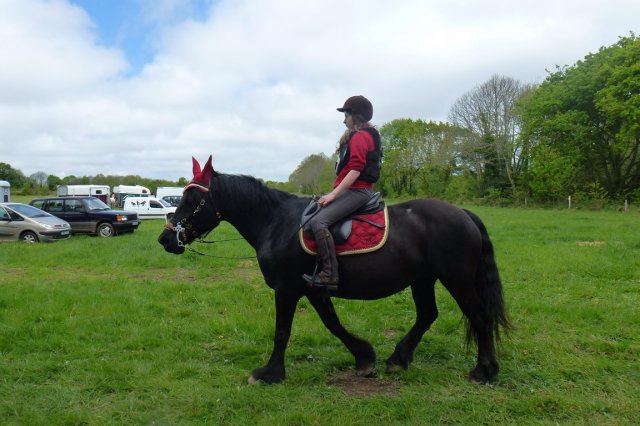 (065)Rando Combrit 2015